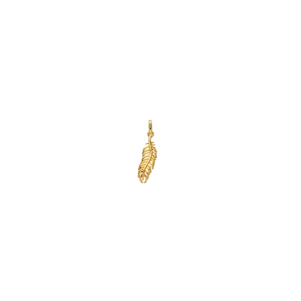 Links of London Amulet Feather Charm